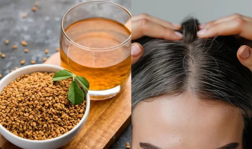 कम उम्र में सफेद बालों की समस्या बढ़ी, मेथी दाना बन सकता है आसान घरेलू उपाय