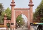 तेरे हिस्से के मच्छर मुझे काटते हैं… AMU हॉस्टल में मच्छरदानी बनी झगड़े की वजह, छात्रों के बीच मारपीट तक पहुंचा मामला