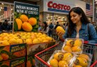 भारत के आमों ने अमेरिका में मचाई धूम… Costco तक पहुंचा केसर आम, कीमत सुनकर चौंक जाएंगे आप