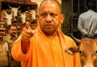 UP में गोवध पर सबसे सख्त कानून, पिछले 9 साल में 36 हजार गिरफ्तार और 83 करोड़ की संपत्ति हुई जब्त, जानिए गोतस्करों की नींद उड़ाने वाले योगी मॉडल की पूरी सच्चाई...