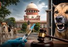 खतरनाक कुत्तों को दें मौत का इंजेक्शन, डॉग अटैक के बढ़ते मामलों पर सुप्रीम कोर्ट का बड़ा फैसला, आदेश नहीं मानने पर अफसरों पर चले अवमानना का केस