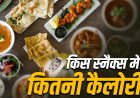 समोसा से इडली तक… जानिए आपके पसंदीदा स्नैक्स में कितनी होती है कैलोरी