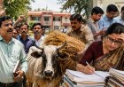 जनगणना के बाद अब भूसा जुटाएंगे शिक्षक! बरेली में शिक्षकों को मिले नए आदेश पर मचा बवाल, भड़के टीचरों ने कहा- आज भूसा तो कल गोबर उठवाएंगे
