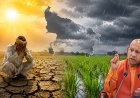 यूपी में इस बार सूखे का आसार, धान के किसानों की बढ़ सकती है मुश्किलें, जानिए क्यों बन रहे ये हालात और मौसम वैज्ञानिकों ने दी क्या सलाह 