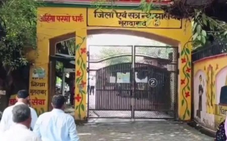 13 साल बाद मिला मासूम को इंसाफ… डेढ़ साल की बच्ची की हत्या करने वाले दरिंदे को उम्रकैद, प्रेम प्रसंग के बदले की भेंट चढ़ी थी वर्षा