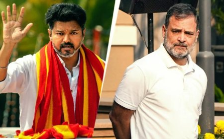 विजय का पावर गेम… राहुल गांधी के करीबी नेता का बड़ा बयान, क्या स्टालिन को छोड़ एक्टर का हाथ थामेगी कांग्रेस?