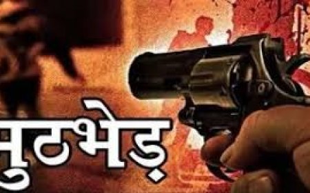 पुलिस मुठभेड़ में भैंस चोर गिरोह का पर्दाफाश, दो बदमाशों के पैर में लगी गोली, जानिए क्या है पूरा मामला...