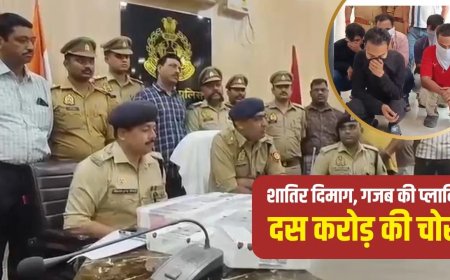 रिटायर्ड IRS का बेटा निकला मास्टरमाइंड… ऑडी से आए और उड़ा ले गए 10 करोड़ की ज्वेलरी, ऐसे हुआ खुलासा