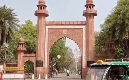 तेरे हिस्से के मच्छर मुझे काटते हैं… AMU हॉस्टल में मच्छरदानी बनी झगड़े की वजह, छात्रों के बीच मारपीट तक पहुंचा मामला