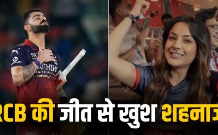 RCB की जीत पर झूम उठीं शहनाज गिल, स्टेडियम में किया सेलिब्रेशन; वायरल हुआ वीडियो