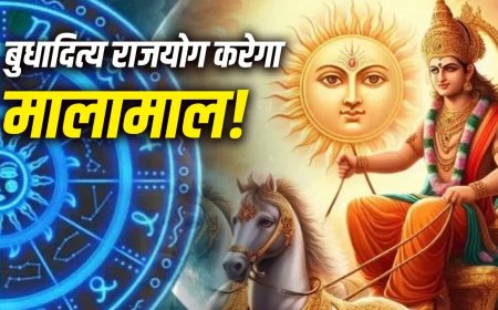 शनि अमावस्या पर बना दुर्लभ बुद्धादित्य राजयोग, इन 4 राशियों की चमक सकती है किस्मत