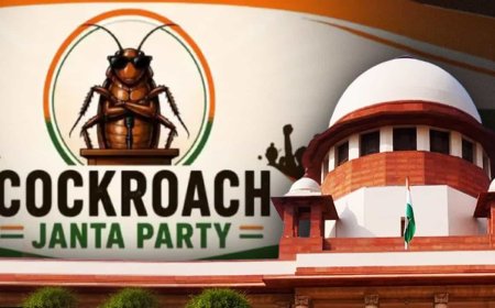 कॉकरोच जनता पार्टी’ पर सुप्रीम कोर्ट सख्त नहीं, CJI बोले- इतनी भावुकता की जरूरत नहीं