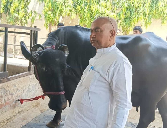 23 लीटर दूध, 5.5 फीट ऊंचाई… UP की इस भैंस के आगे सब फेल, दूर-दूर से देखने पहुंच रहे लोग