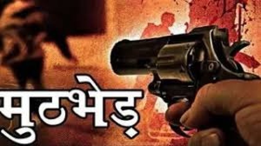 पुलिस मुठभेड़ में भैंस चोर गिरोह का पर्दाफाश, दो बदमाशों के पैर में लगी गोली, जानिए क्या है पूरा मामला...