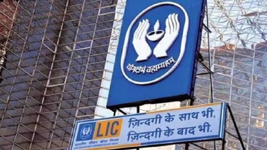 LIC बनी सबसे ज्यादा मुनाफा कमाने वाली वित्तीय कंपनी, मार्च तिमाही में 23,420 करोड़ रुपये का लाभ