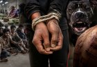 दोना फैक्ट्री या टॉर्चर रूम? बेल्ट, हंटर, गर्म भाले और पिटबुल के डर के साए में जी रहे थे 13 मजदूर, पुलिस ने कराया आजाद 