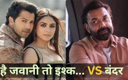 वरुण धवन की फिल्म ने मारी बाजी, 3 दिन में 37.30 करोड़ कमाए; बॉबी देओल की ‘बंदर’ 3 करोड़ तक भी नहीं पहुंच सकी