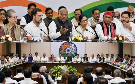 बंगाल चुनाव के बाद विपक्ष का शक्ति प्रदर्शन, दिल्ली में जुटे 23 दल… राहुल पर पोस्टर वार के बीच बनी बड़ी रणनीति