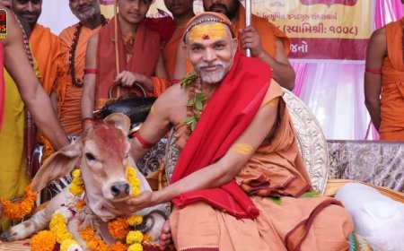'गाय को छोड़ने वाला भी पाप का भागीदार' मेरठ पहुंची गविष्ठि यात्रा में शंकराचार्य का बड़ा बयान, बोले- गाय में कुछ लोग देखते हैं मांस 