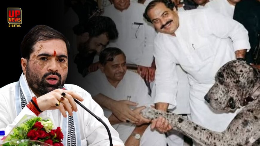 'अतीक के कुत्ते को सहलाते थे मुलायम सिंह...' योगी कैबिनेट के मंत्री के बयान से UP की सियासत में मचा भूचाल,  सपा ने किया तीखा पलटवार 