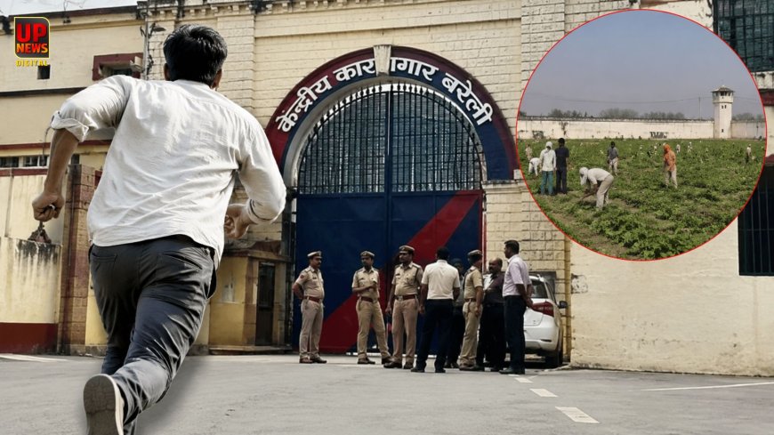 बरेली सेंट्रल जेल से उम्रकैद का बंदी फरार, पॉक्सो मामले में काट रहा था उम्रकैद की सजा,  7 जेलकर्मी हुए सस्पेंड, ढूंढने में जुटी 4 टीमें 