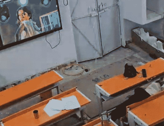 महोबा में हेडमास्टर की शर्मनाक हरकत! स्मार्ट क्लास में अश्लील गाना चलाकर बेंच पर सोए, ग्रामीणों की शिकायत के बाद जांच हुई शुरू