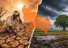 यूपी के 28 जिले सूखे की चपेट में, आधा मानसून बीता फिर भी 27% कम बारिश, अब अगस्त-सितंबर तय करेंगे राहत मिलेगी या बढ़ेगा संकट