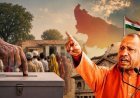 यूपी में पहले पंचायत चुनाव या विधानसभा चुनाव? हाईकोर्ट ने 6 महीने में चुनाव कराने को कहा, नवंबर में खत्म हो रही डेडलाइन, जानिए सरकार के सामने अब क्या विकल्प