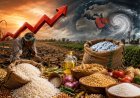 2027 तक भारत में महंगा हो सकता है खाना-पीना, जेपी मॉर्गन की चेतावनी, खाद से लेकर मौसम तक बढ़ा संकट, सरकार पर बढ़ेगा बोझ