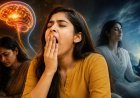 बात करते-करते क्यों आने लगती है जम्हाई? सिर्फ नींद नहीं, मन और शरीर की इस स्थिति का भी हो सकता है संकेत, जानिए क्या कहना चाहता है शरीर