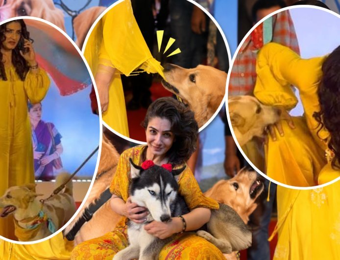 ओह माय डॉग की स्क्रीनिंग के दौरान रवीना टंडन पर झपटा कुत्ता, कपड़े का धागा मुंह में फंसा, रवीना बोलीं- हमला नहीं किया था