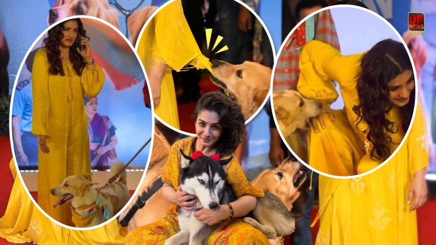 ओह माय डॉग की स्क्रीनिंग के दौरान रवीना टंडन पर झपटा कुत्ता, कपड़े का धागा मुंह में फंसा, रवीना बोलीं- हमला नहीं किया था
