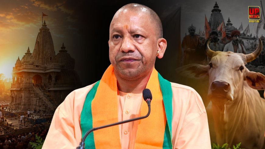 'कालनेमी को पहचानना होगा' राम मंदिर पर राजनीति करने वालों पर भड़के सीएम योगी, गाय को राष्ट्रमाता घोषित कराने की मौलवियों की मांग पर भी दिया बड़ा बयान 
