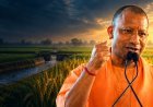 योगी सरकार में कृषि विकास दर 8 फीसदी से बढ़कर 18फीसदी हुई, 80 लाख किसानों से खरीदा 519 लाख मीट्रिक टन धान, खाद्यान्न उत्पादन में यूपी की 21% हिस्सेदारी का दावा