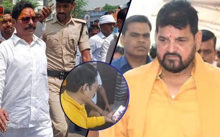 यूपी-बिहार के दो बाहुबली नेताओं के बीच वीडियो कॉल हुई बात, बृजभूषण बोले- बहुत खास हैं हमारे, अनंत सिंह के राजनीतिक रुख के बीच बातचीत वायरल 